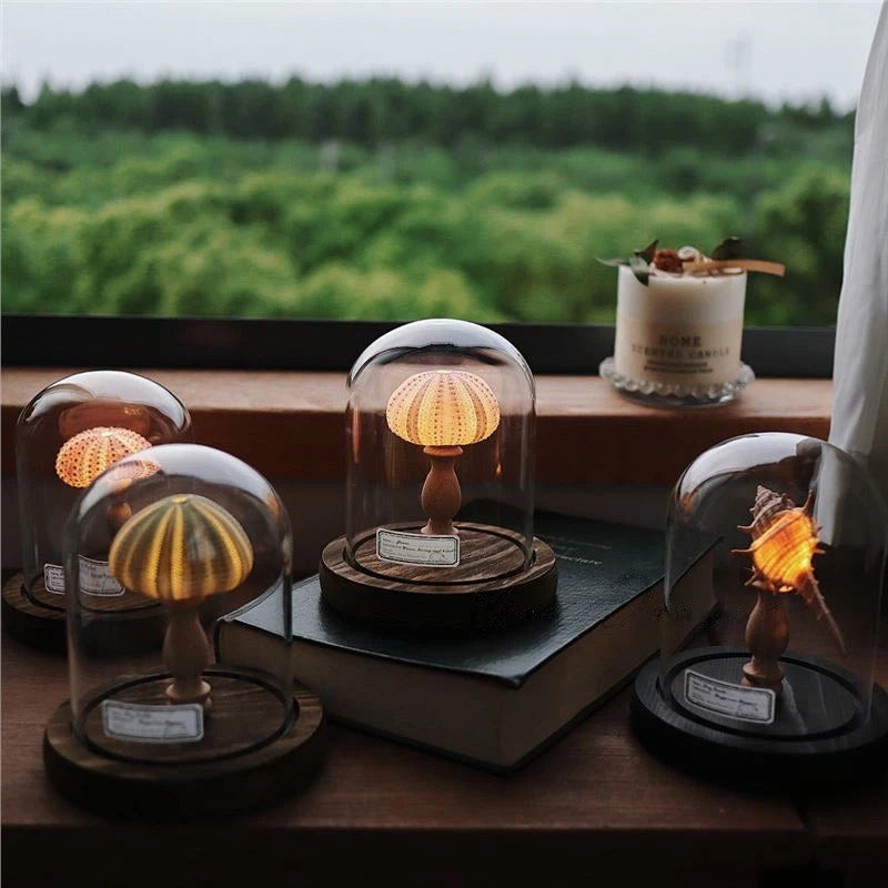 Seashell Sea Urchin Night Light - Glass Dome Coastal Table Lamp for Bedroom Living room