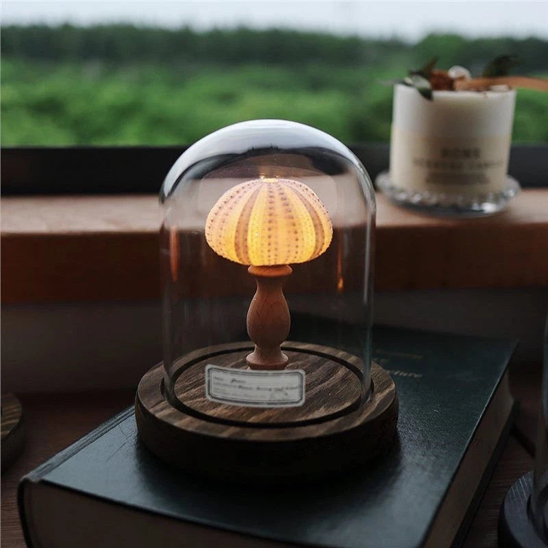 Seashell Sea Urchin Night Light - Glass Dome Coastal Table Lamp for Bedroom Living room