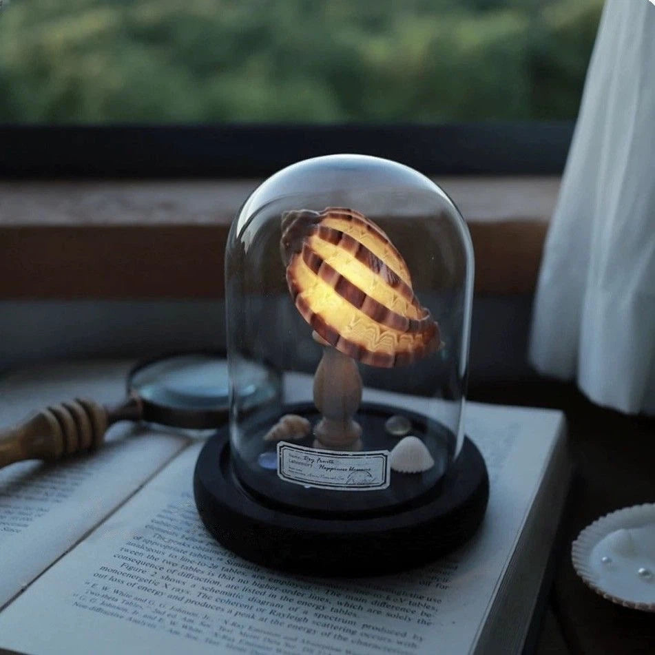 Seashell Sea Urchin Night Light - Glass Dome Coastal Table Lamp for Bedroom Living room