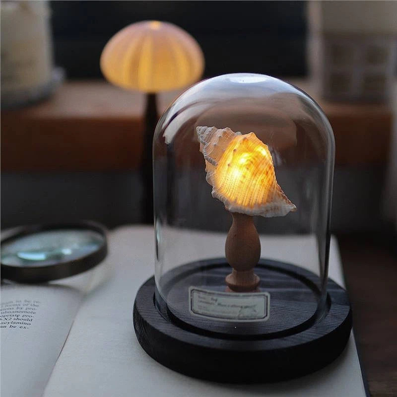 Seashell Sea Urchin Night Light - Glass Dome Coastal Table Lamp for Bedroom Living room