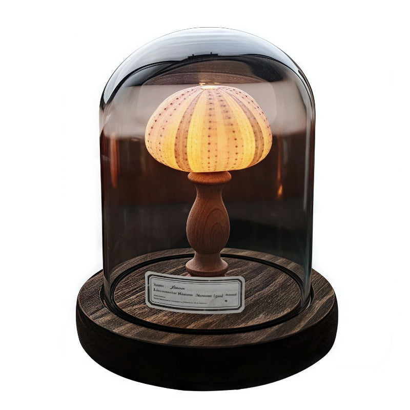 Seashell Sea Urchin Night Light - Glass Dome Coastal Table Lamp for Bedroom Living room