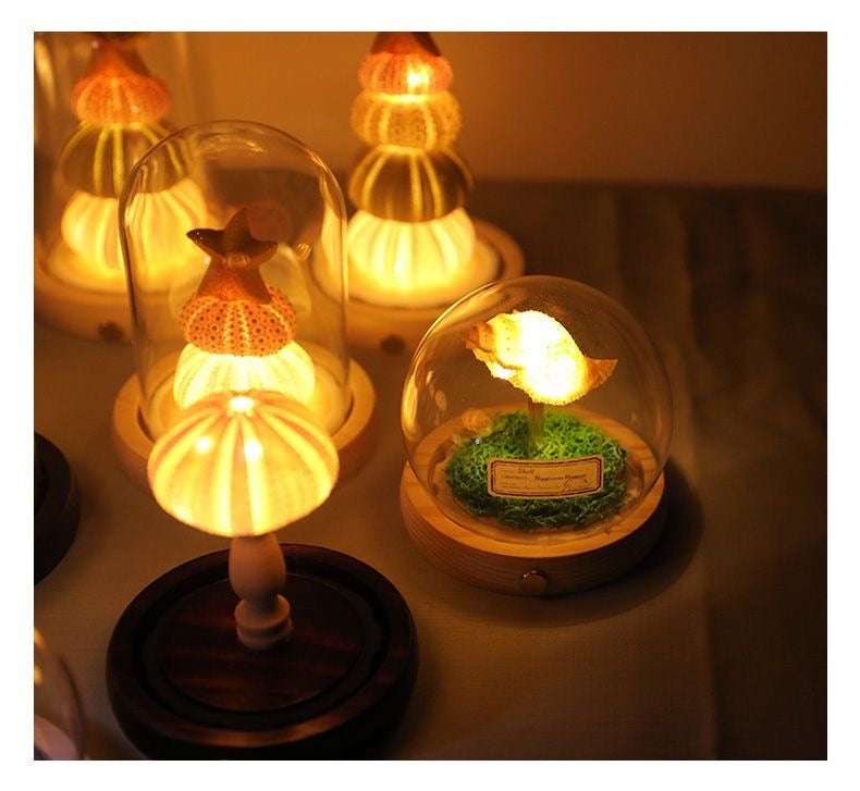 Seashell Sea Urchin Night Light - Glass Dome Coastal Table Lamp for Bedroom Living room