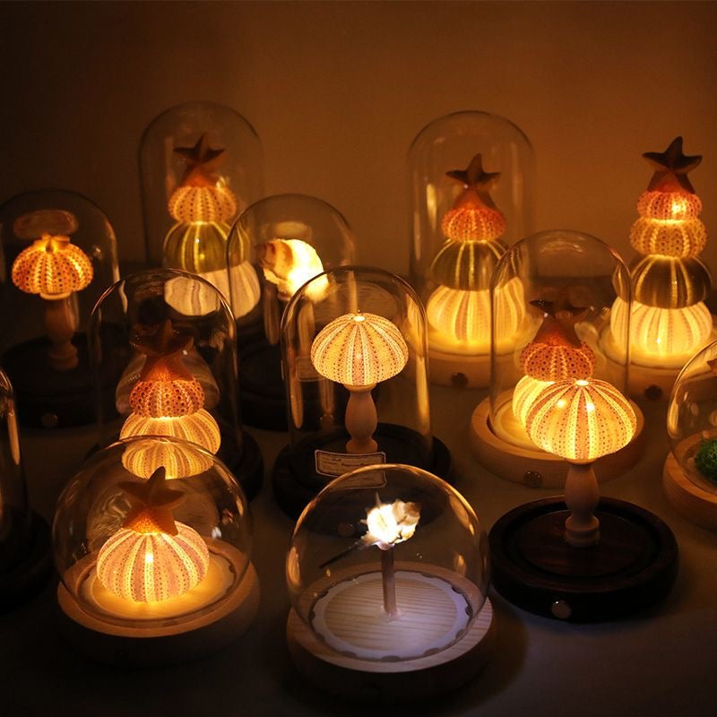 Seashell Sea Urchin Night Light - Glass Dome Coastal Table Lamp for Bedroom Living room