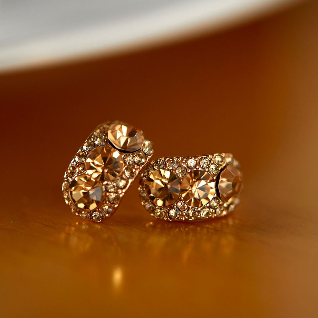 Autumn Winter Warm Color Series Earrings